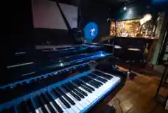 ナカノピグノーズ