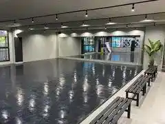 ECCELLENTE FIELD & STUDIO