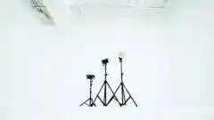 STUDIO 8 白ホリ＋背景紙