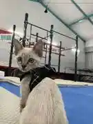 つばさ基地 別館C