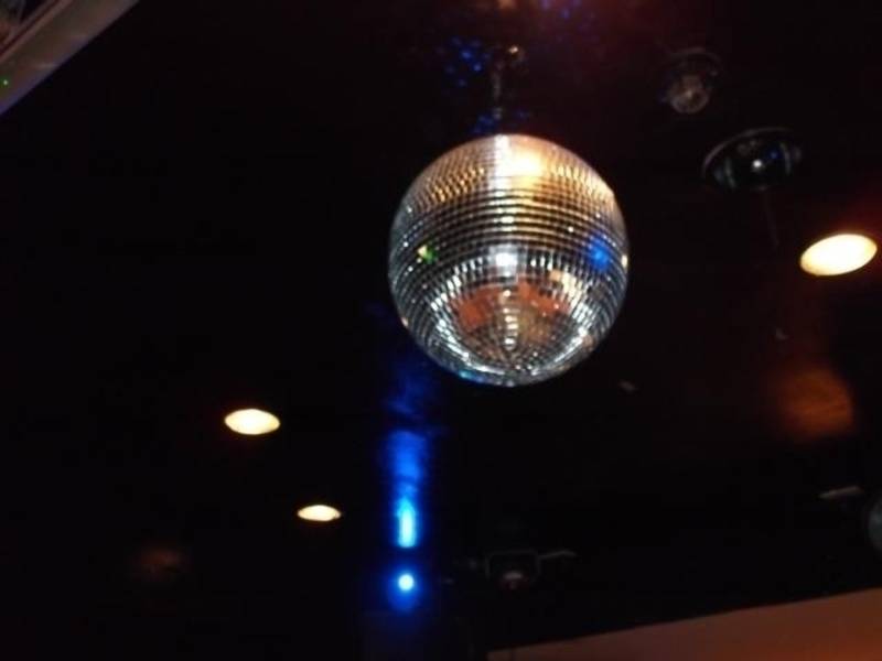 BUSHBASH -5