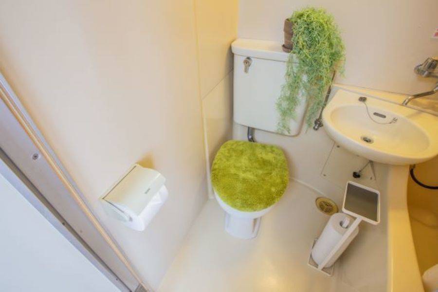 GreenAce2-20