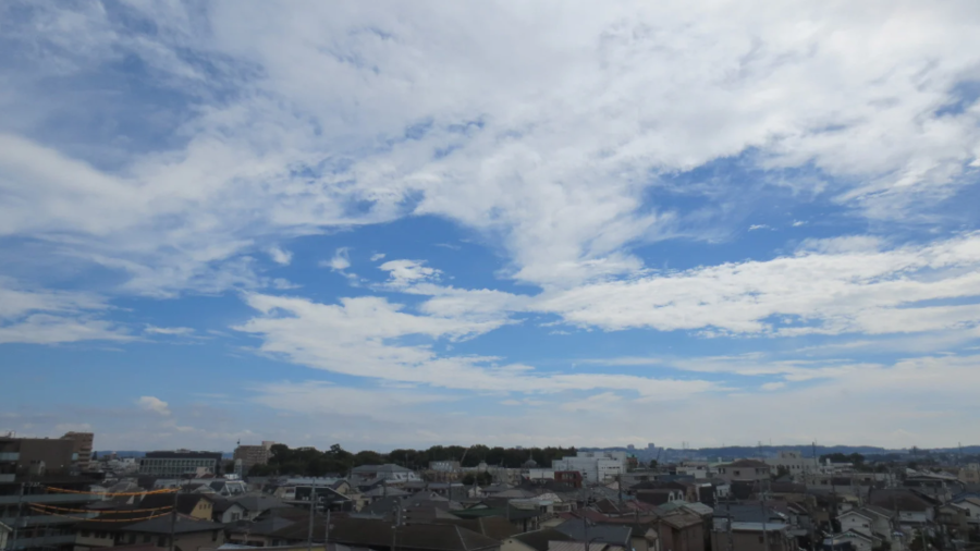 Lily立川本店［902］-8