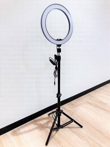 LiLeaS(ライラス) RoomC-12