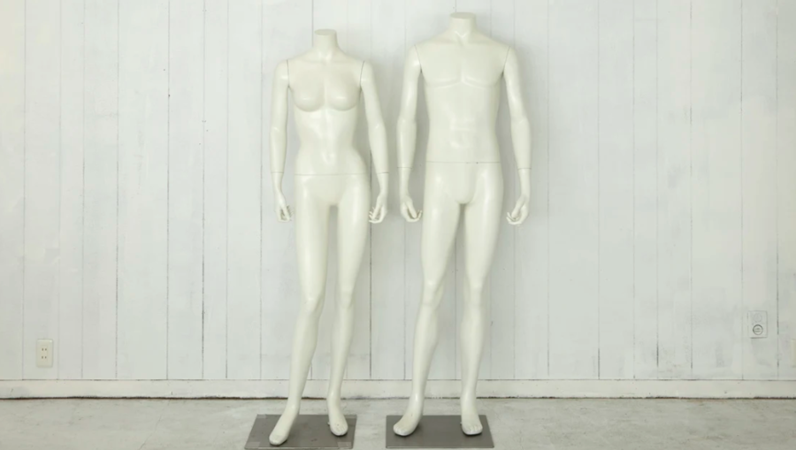 スタジオ ブルーツリー -6