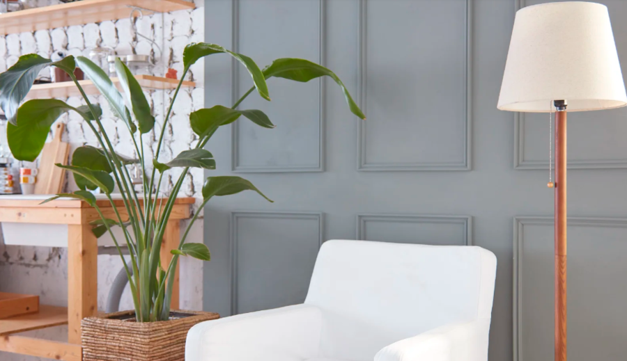 スタジオ ブルーツリー -11