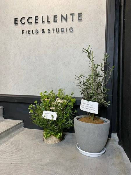 ECCELLENTE FIELD & STUDIO-2