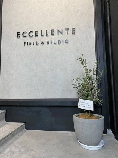 ECCELLENTE FIELD & STUDIO-23