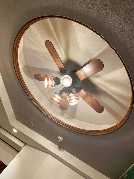 スタジオフェリア 12m×5m-3