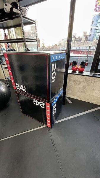 GOPANDA GYM-5