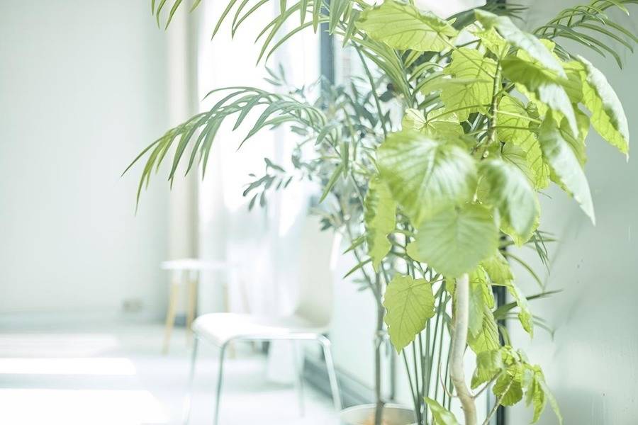 lull SHARE STUDIO-17