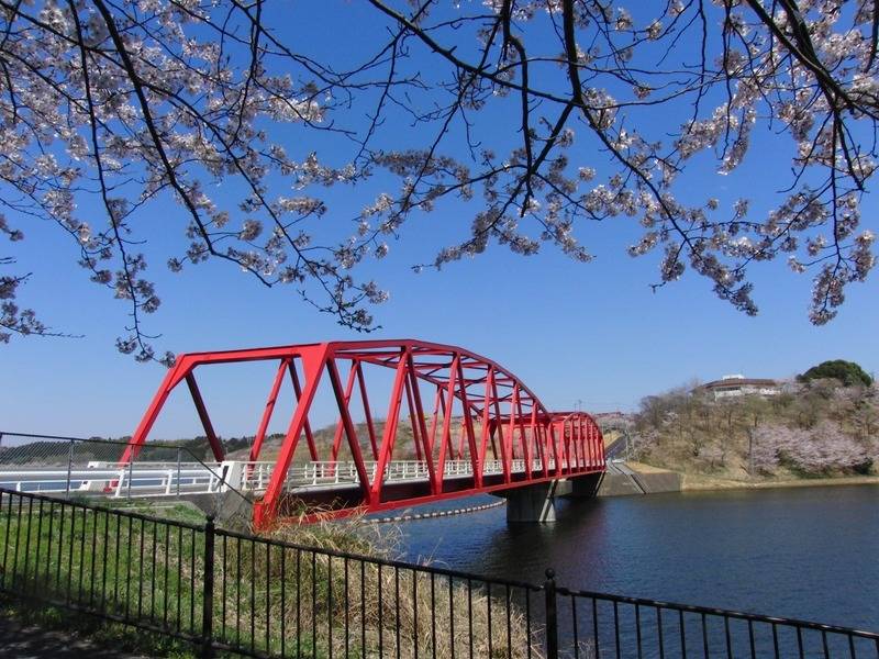 緑に囲まれたモダン空間｜ビジネス向け完全個室の貸し会議室-22