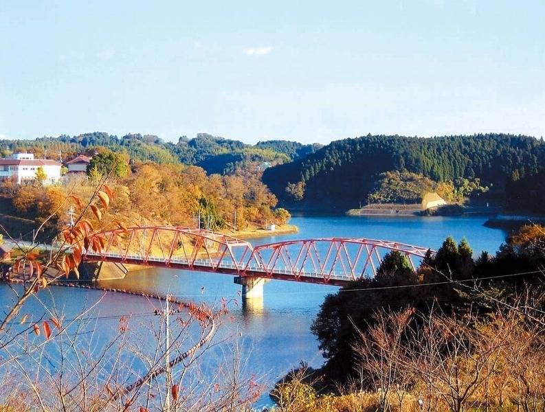 緑に囲まれたモダン空間｜ビジネス向け完全個室の貸し会議室-24