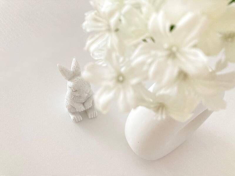 white rabbit 巣鴨店-18