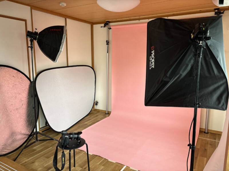 Studio Photo Lapin-2
