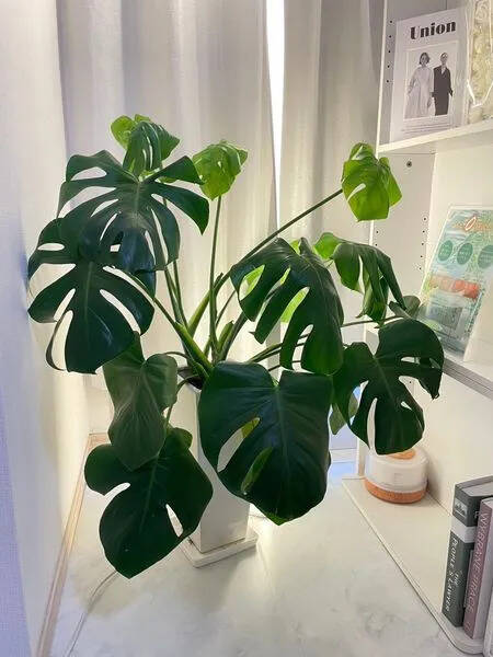 Relax salon 円山町-5