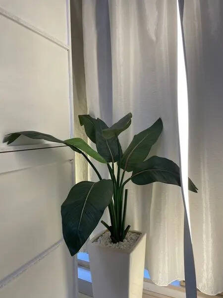 Relax salon 円山町-6