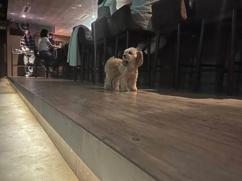 Relax one 赤坂台-5