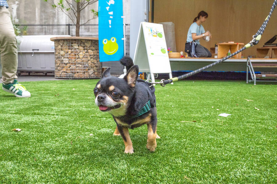 ＳＬＯＷ　ＡＲＴ　ＣＥＮＥＴＲ　ＮＡＧＯＹＡ-16