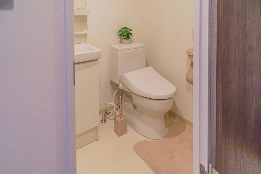 white rabbit 藤沢店-20