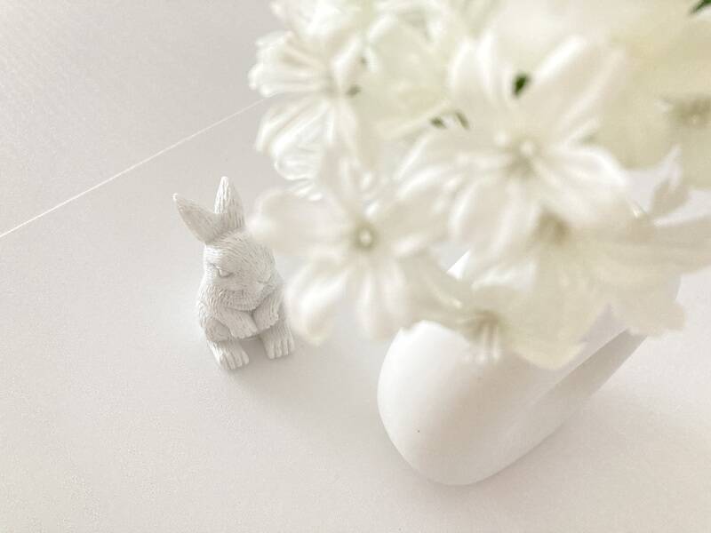 white rabbit 西荻窪店-19