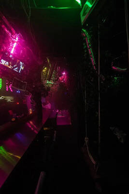 ジャングル風パーティースペース-3