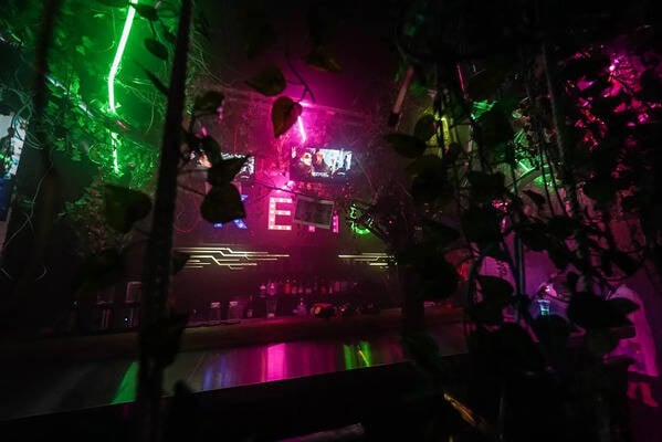 ジャングル風パーティースペース-3