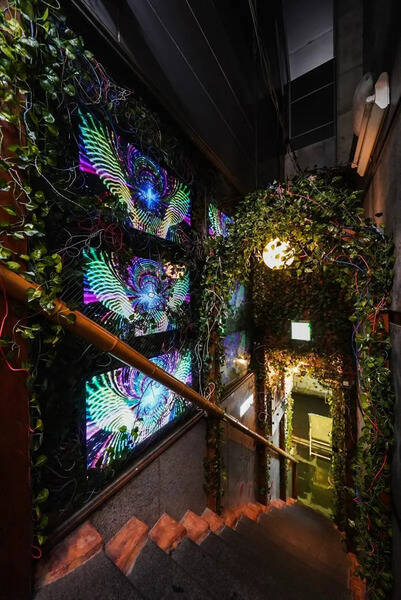 ジャングル風パーティースペース-5