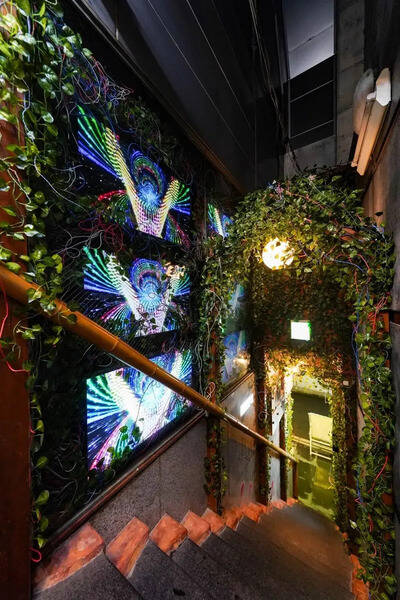 ジャングル風パーティースペース-7