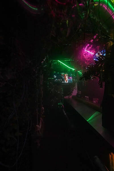 ジャングル風パーティースペース-10