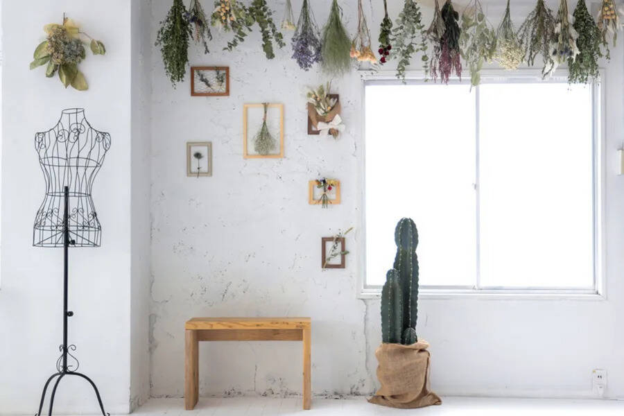 PHOTORATIO早稲田-4