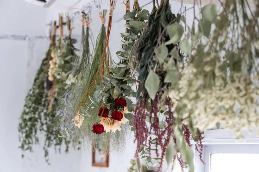 PHOTORATIO早稲田-5