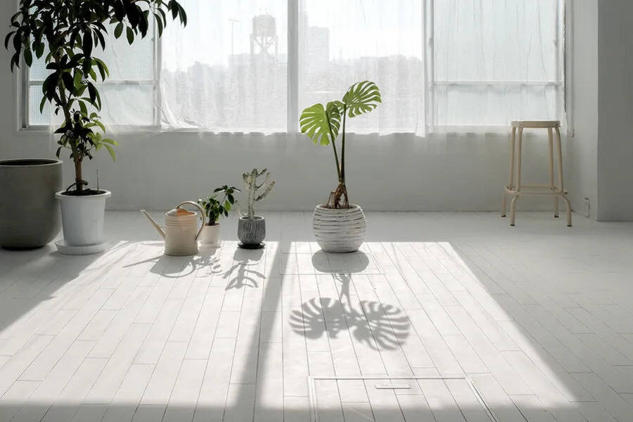 PHOTORATIO早稲田-6