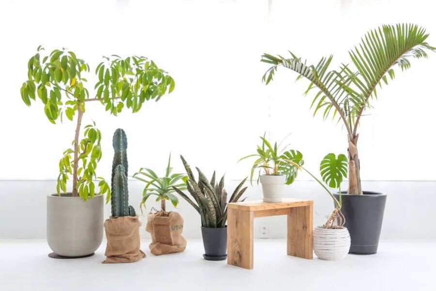 PHOTORATIO早稲田-8