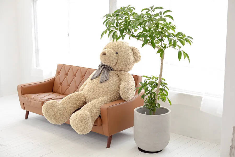 PHOTORATIO早稲田-11