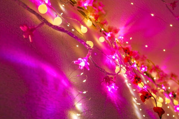 ご縁 カフェ 金山-3