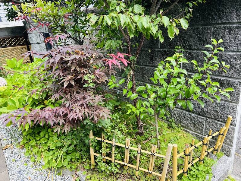 浜町小院Guest House 一階貸切-19