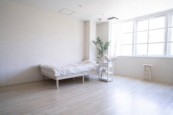 STUDIO VERDE STUDIO2-1